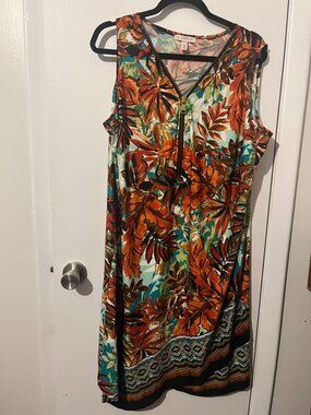 DB Established 1962 Sleeveless Dress SZ 2X